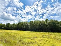 MAP13LOT9 Martins Ridge Road, Franklin, ME 04634