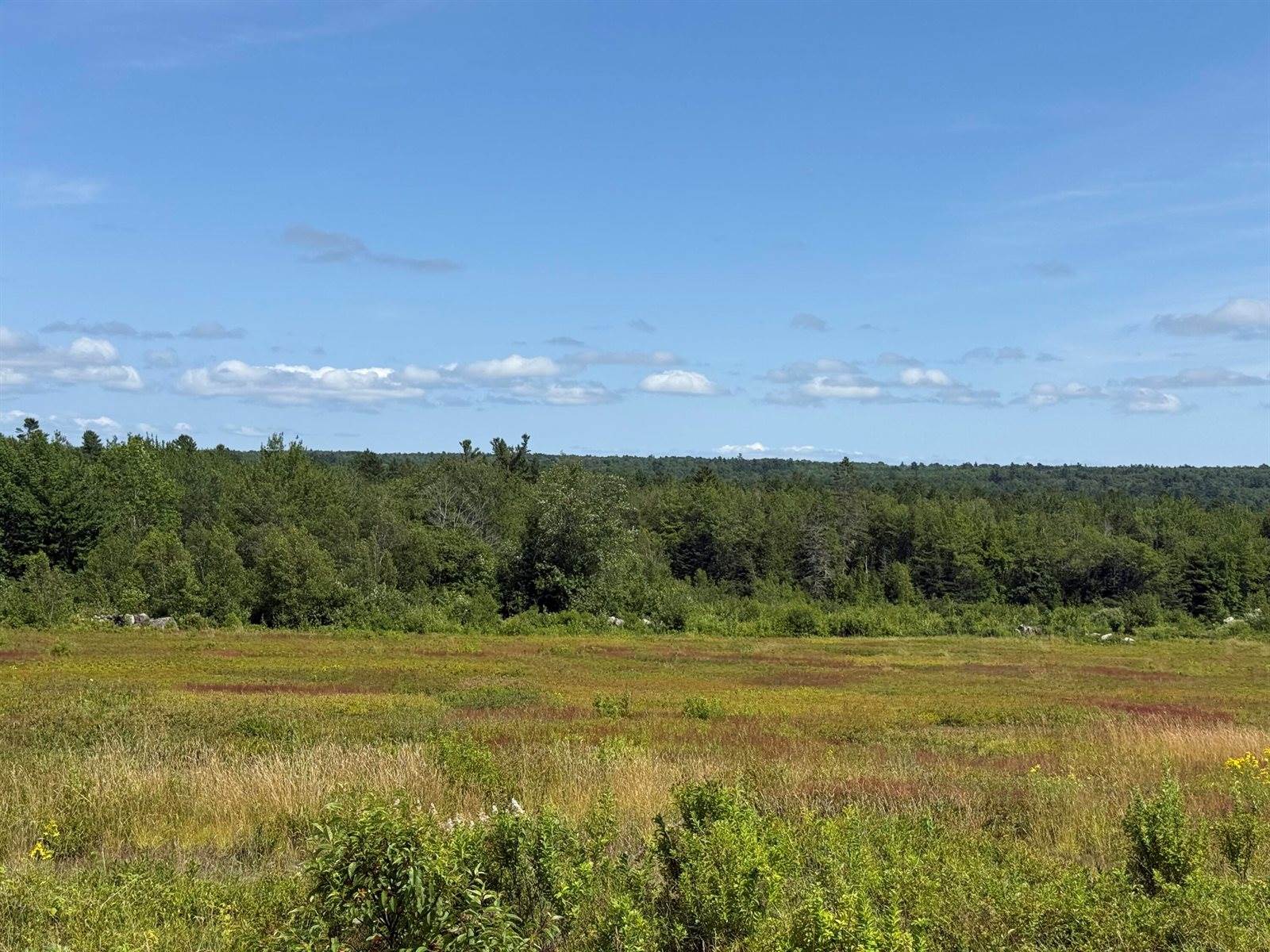 MAP13LOT21 Route 199 Route, Penobscot, ME 04476