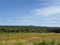 MAP13LOT21 Route 199 Route, Penobscot, ME 04476