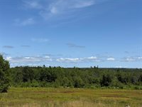 MAP13LOT21 Route 199 Route, Penobscot, ME 04476