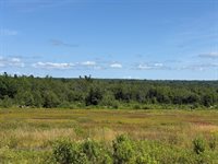 MAP13LOT21 Route 199 Route, Penobscot, ME 04476