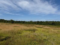 MAP13LOT21 Route 199 Route, Penobscot, ME 04476