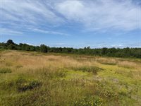 MAP13LOT21 Route 199 Route, Penobscot, ME 04476