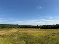 MAP13LOT21 Route 199 Route, Penobscot, ME 04476