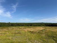 MAP13LOT21 Route 199 Route, Penobscot, ME 04476