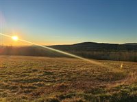 MAP16LOT10 Upper Long Pond Road, Bucksport, ME 04416