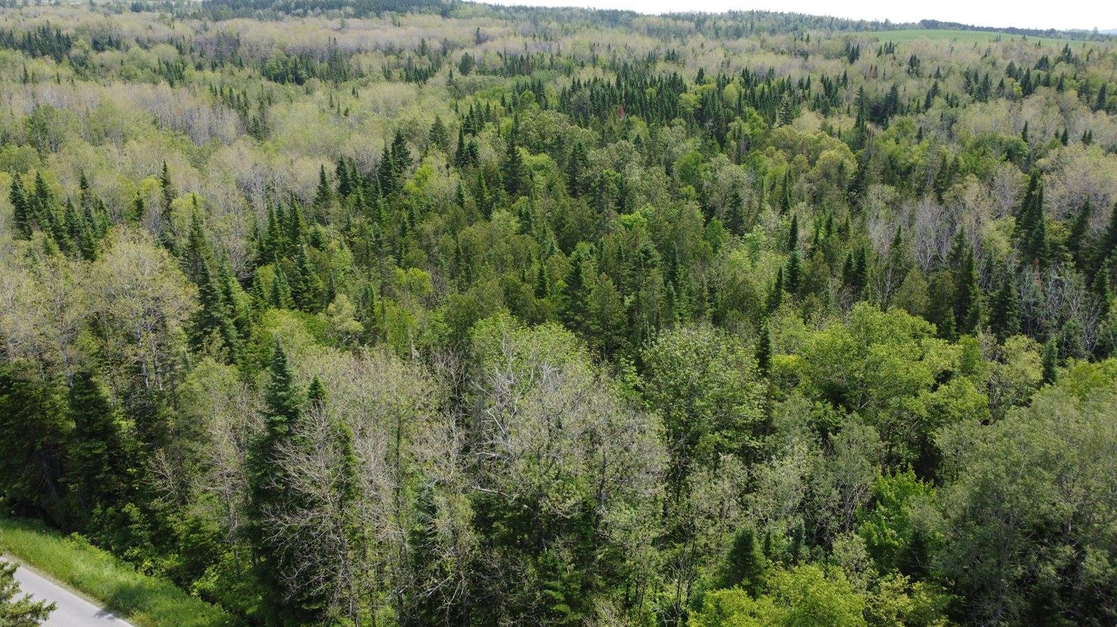 25-2 Lavertu Road, Madawaska, ME 04756