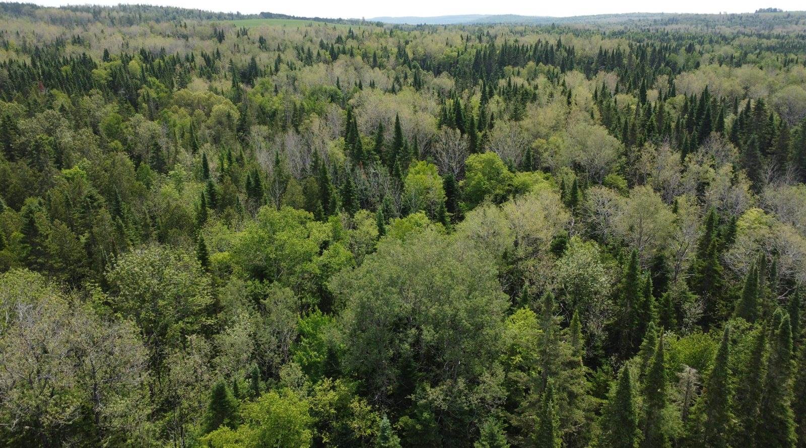 25-2 Lavertu Road, Madawaska, ME 04756