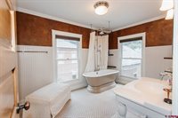 529 4th Street, Ouray, CO 81427