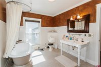 529 4th Street, Ouray, CO 81427