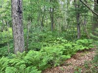 Lot 26 WESTPORT COURT, Port Edwards, WI 54469