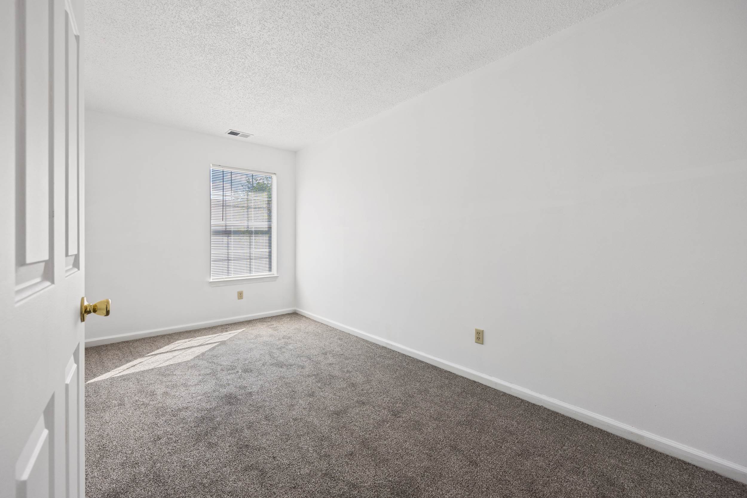 1217 Alder Court, Chesapeake, VA 23320