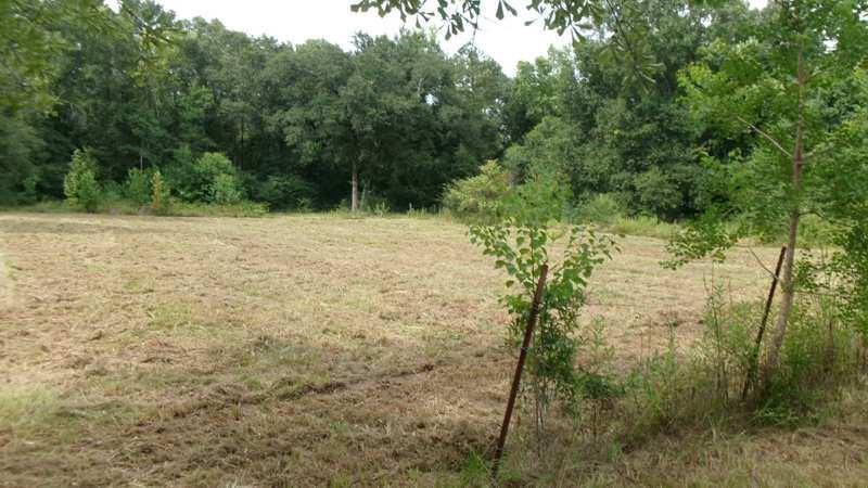 19127 Alia Lane, Hammond, LA 70403