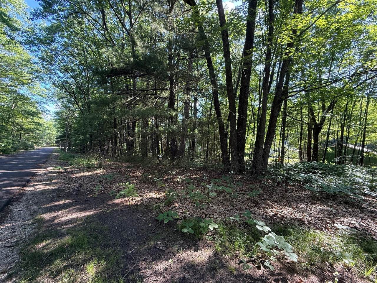 219 Russell Avenue, Houghton Lake, MI 48629