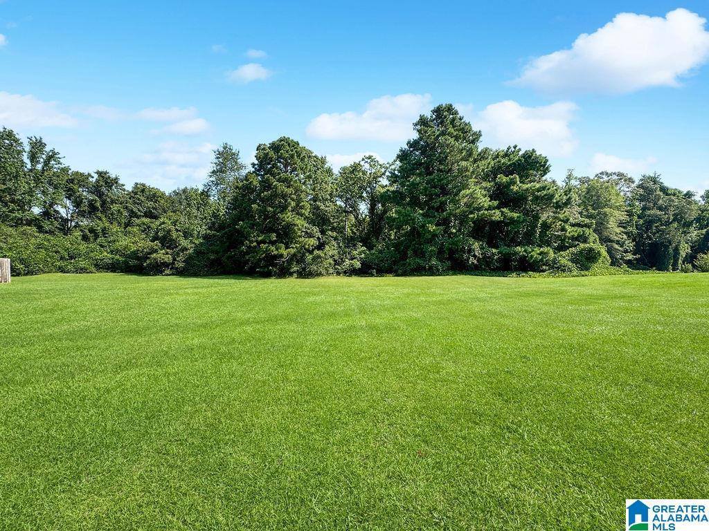 11465 Bent Pine Drive, Moundville, AL 35474