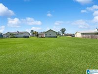 11465 Bent Pine Drive, Moundville, AL 35474