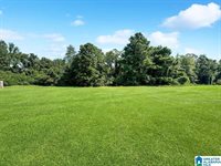 11465 Bent Pine Drive, Moundville, AL 35474