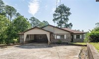 407 Old Forge, Chapin, SC 29036