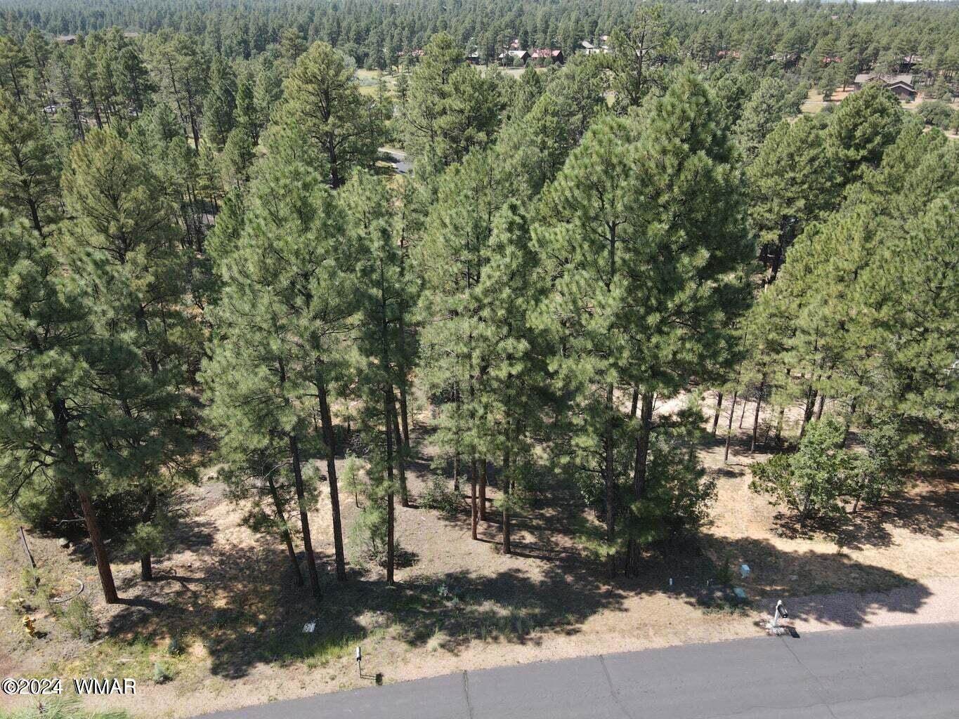 1160 Cherokee Drive, Show Low, AZ 85901