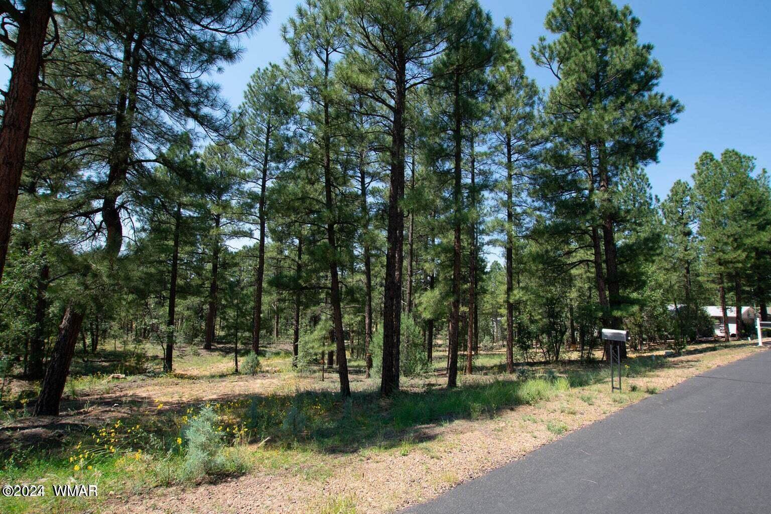 1160 Cherokee Drive, Show Low, AZ 85901