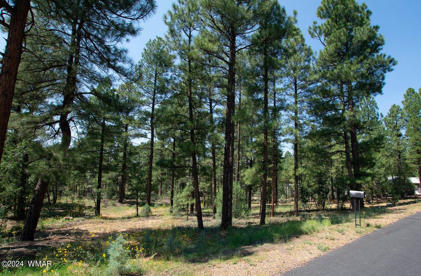 1160 Cherokee Drive, Show Low, AZ 85901