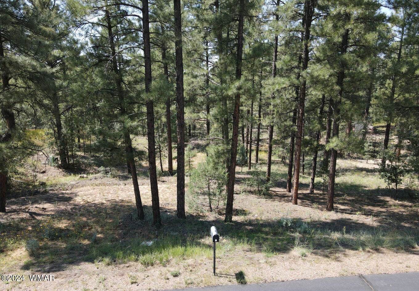 1160 Cherokee Drive, Show Low, AZ 85901