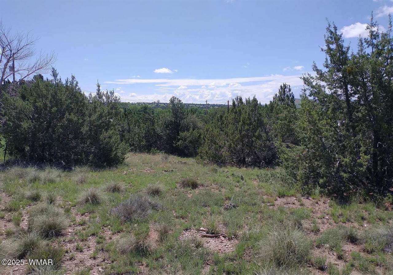 70 County Road 5054, Concho, AZ 85924