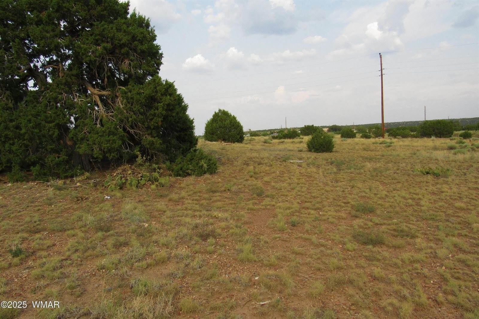 70 County Road 5054, Concho, AZ 85924
