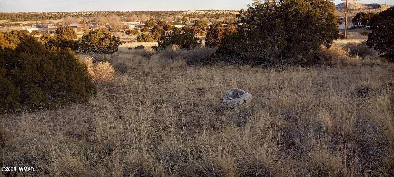 70 County Road 5054, Concho, AZ 85924