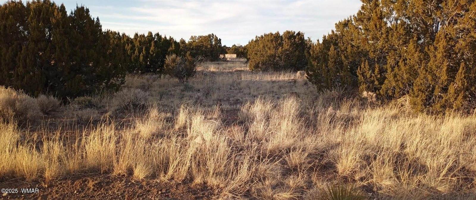70 County Road 5054, Concho, AZ 85924
