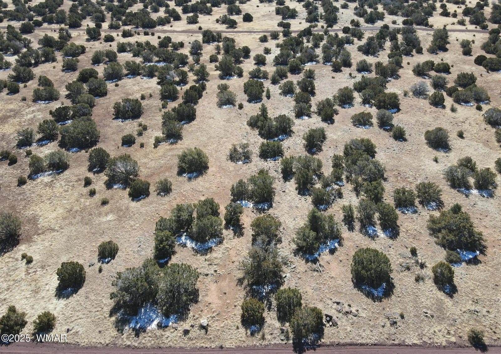 70 County Road 5054, Concho, AZ 85924