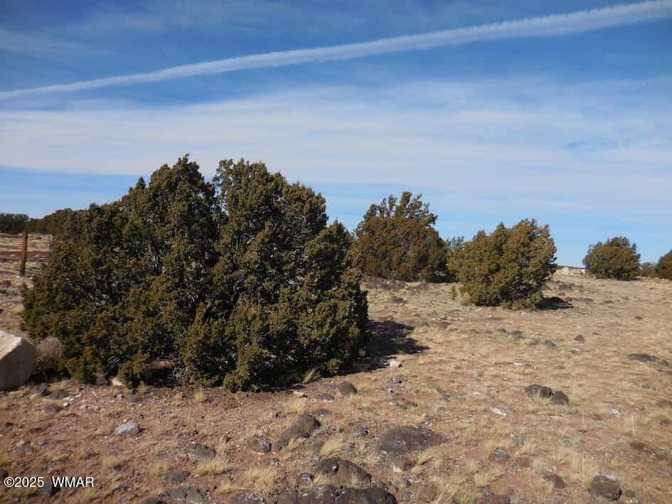 70 County Road 5054, Concho, AZ 85924