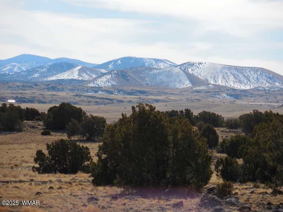 70 County Road 5054, Concho, AZ 85924