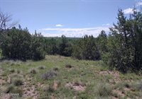 70 County Road 5054, Concho, AZ 85924