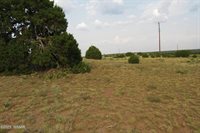 70 County Road 5054, Concho, AZ 85924