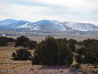 70 County Road 5054, Concho, AZ 85924