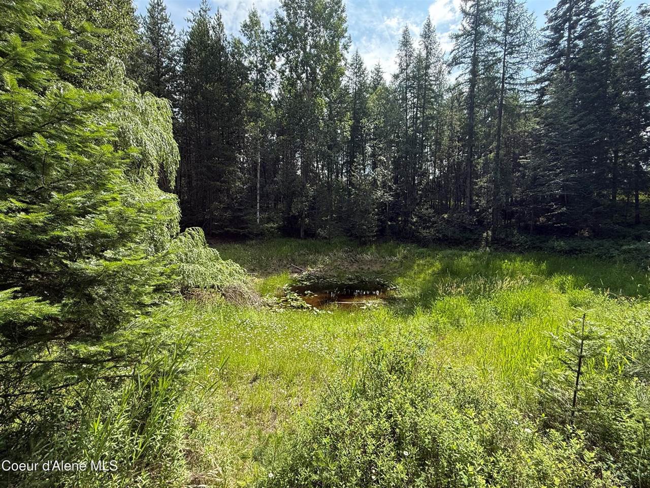 480 Mountain Meadows Road, Naples, ID 83847