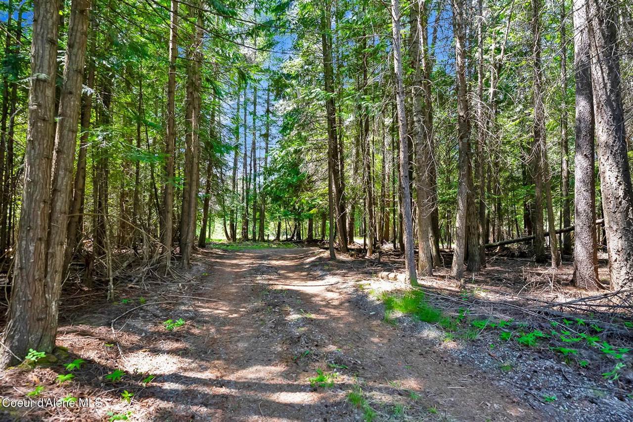 480 Mountain Meadows Road, Naples, ID 83847