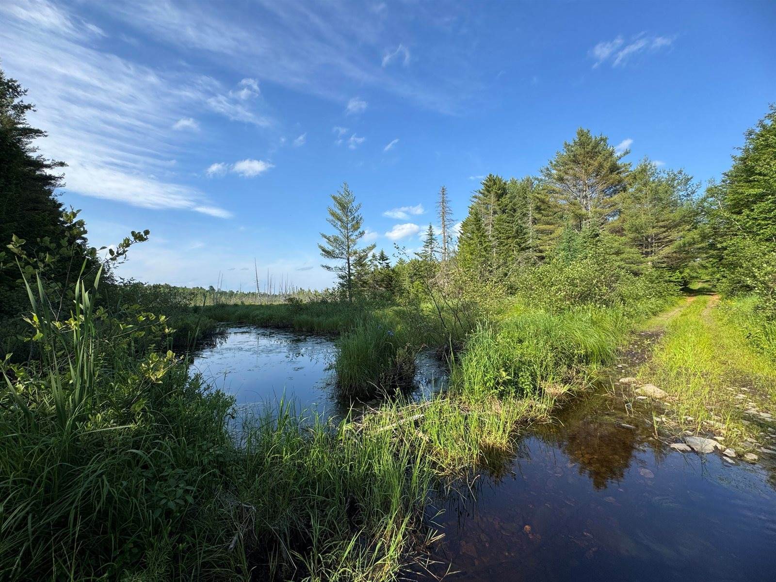 137 Vanishing Lane, Athens, ME 04912