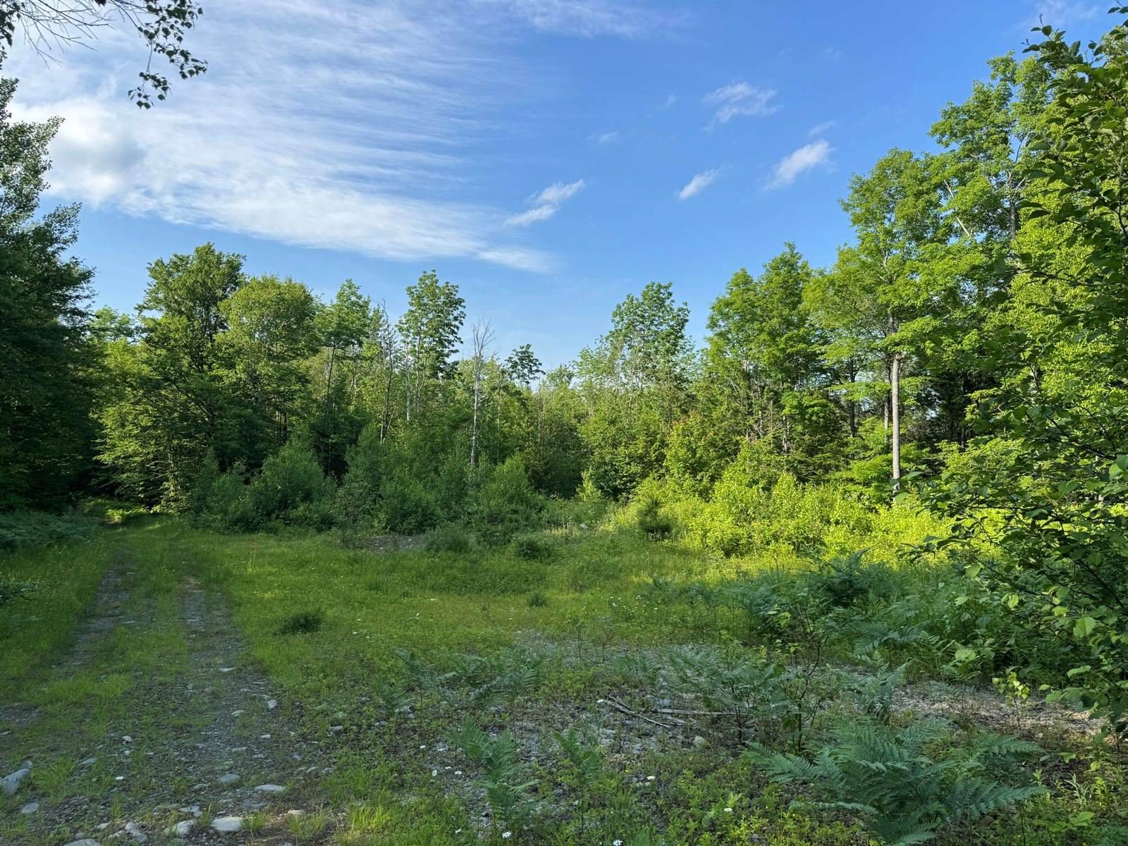 137 Vanishing Lane, Athens, ME 04912