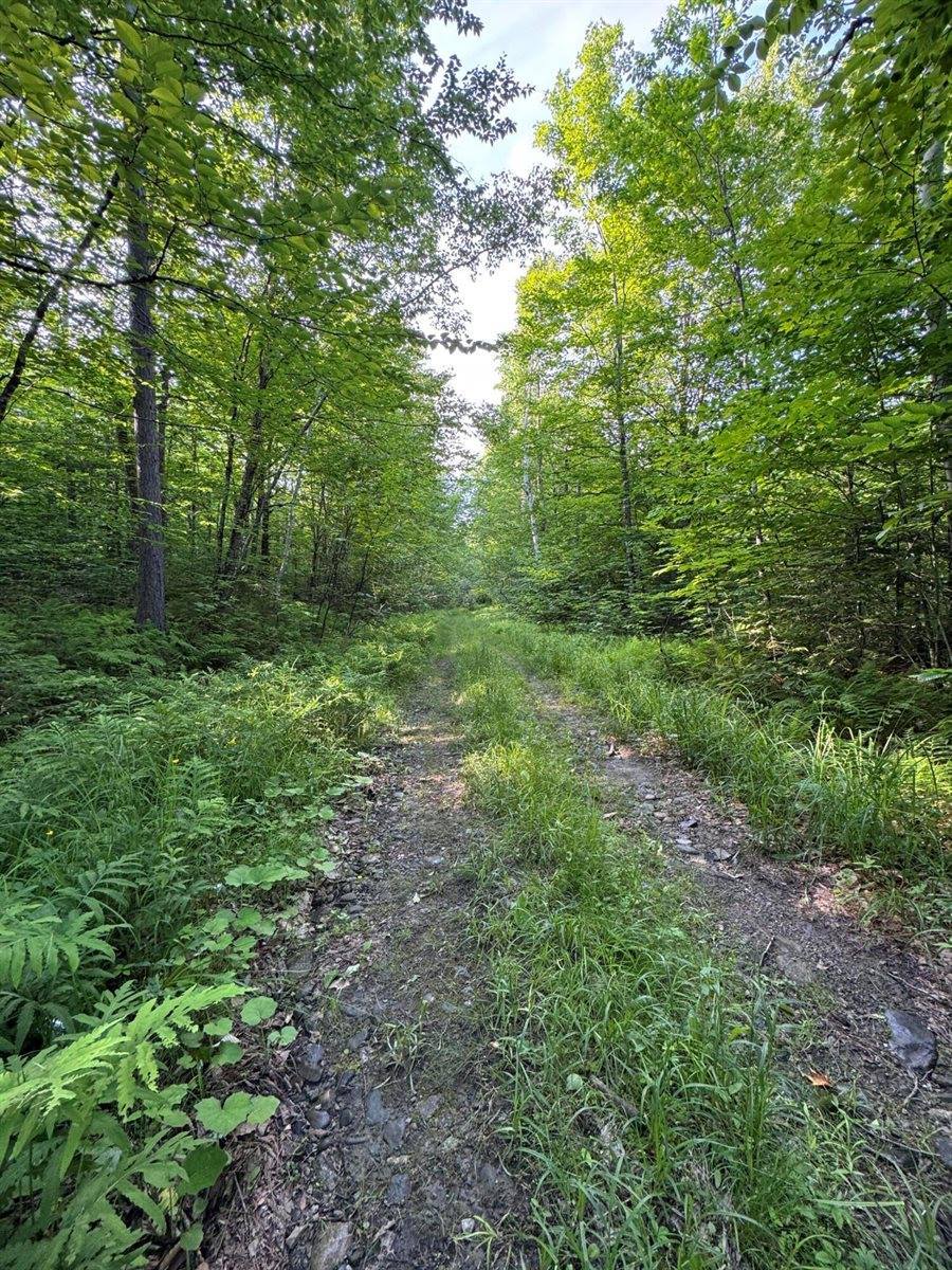 137 Vanishing Lane, Athens, ME 04912