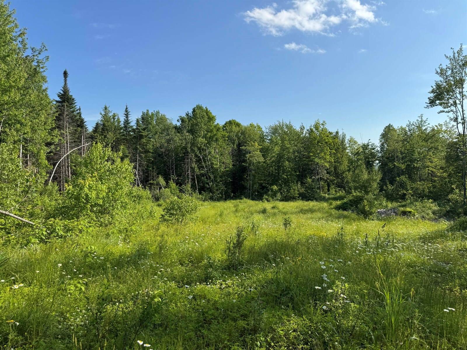 137 Vanishing Lane, Athens, ME 04912