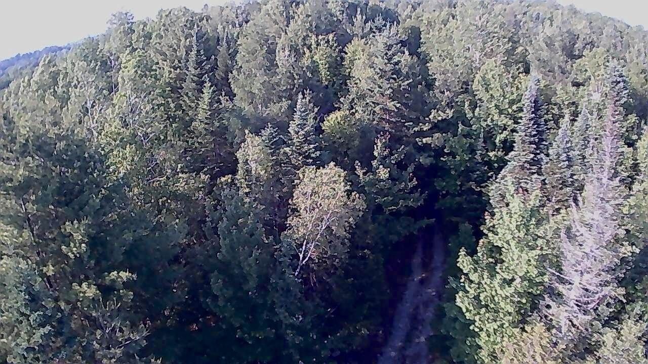 137 Vanishing Lane, Athens, ME 04912