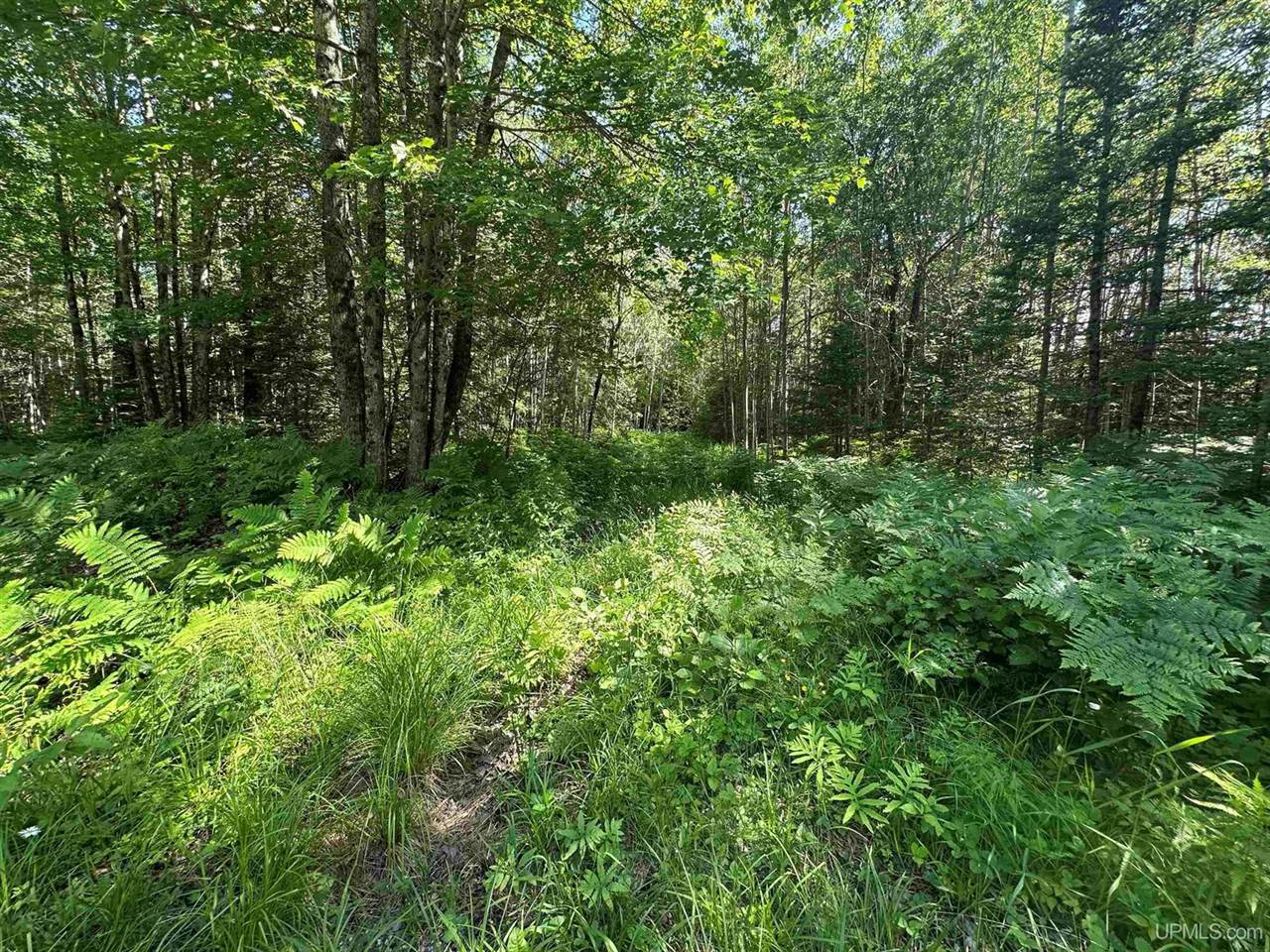 624 N Winters Road, Trenary, MI 49891