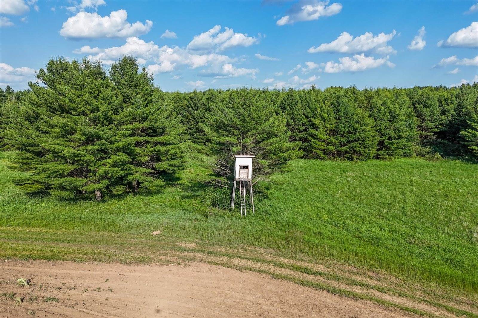 3660 Bentley Road, Custer, WI 54423