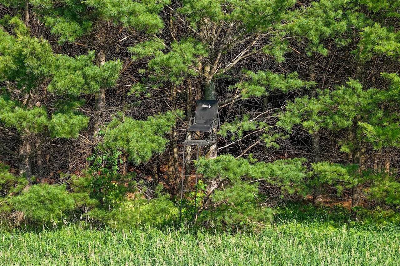 3660 Bentley Road, Custer, WI 54423