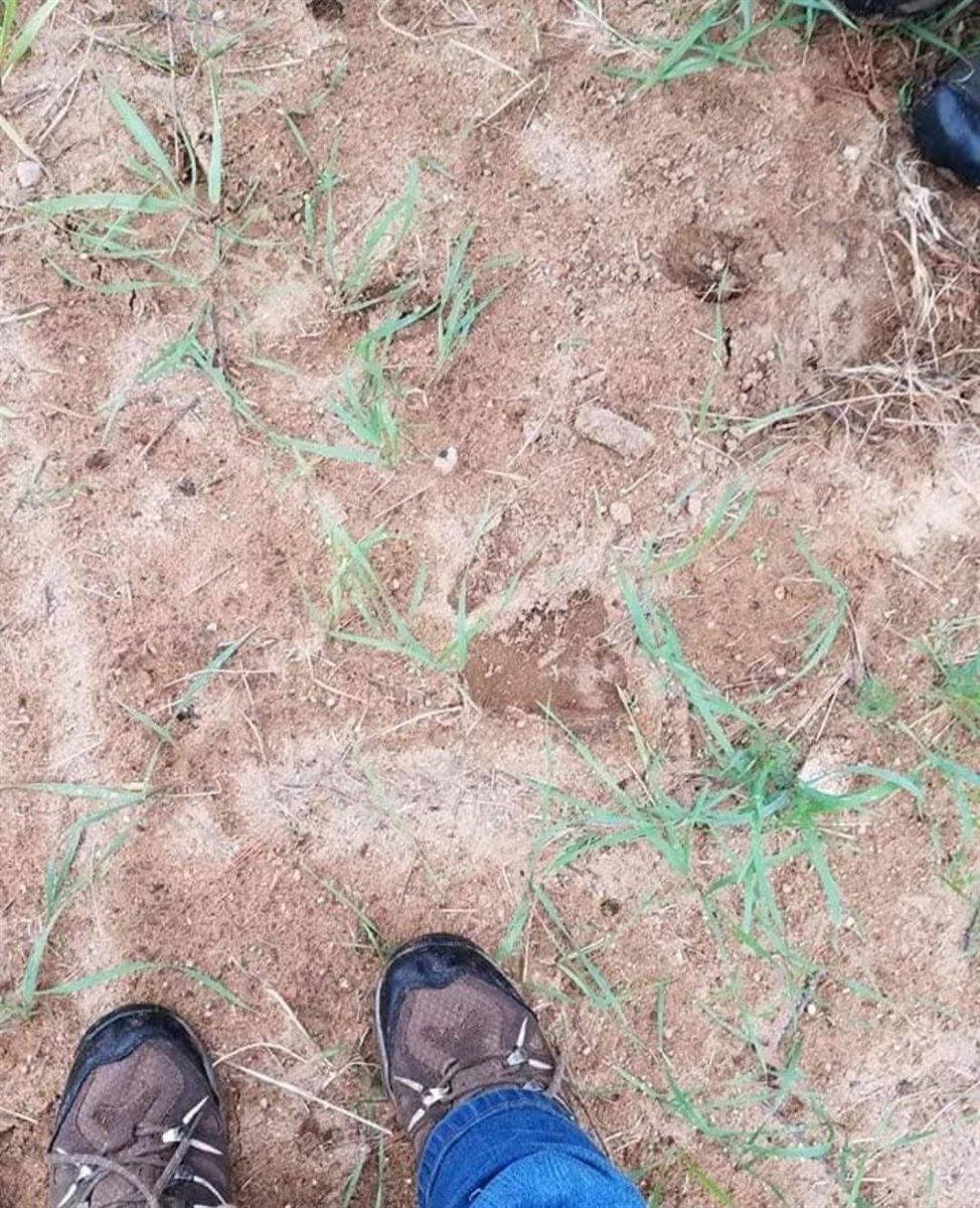 3660 Bentley Road, Custer, WI 54423