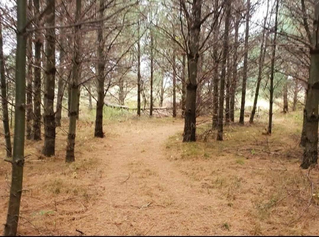 3660 Bentley Road, Custer, WI 54423