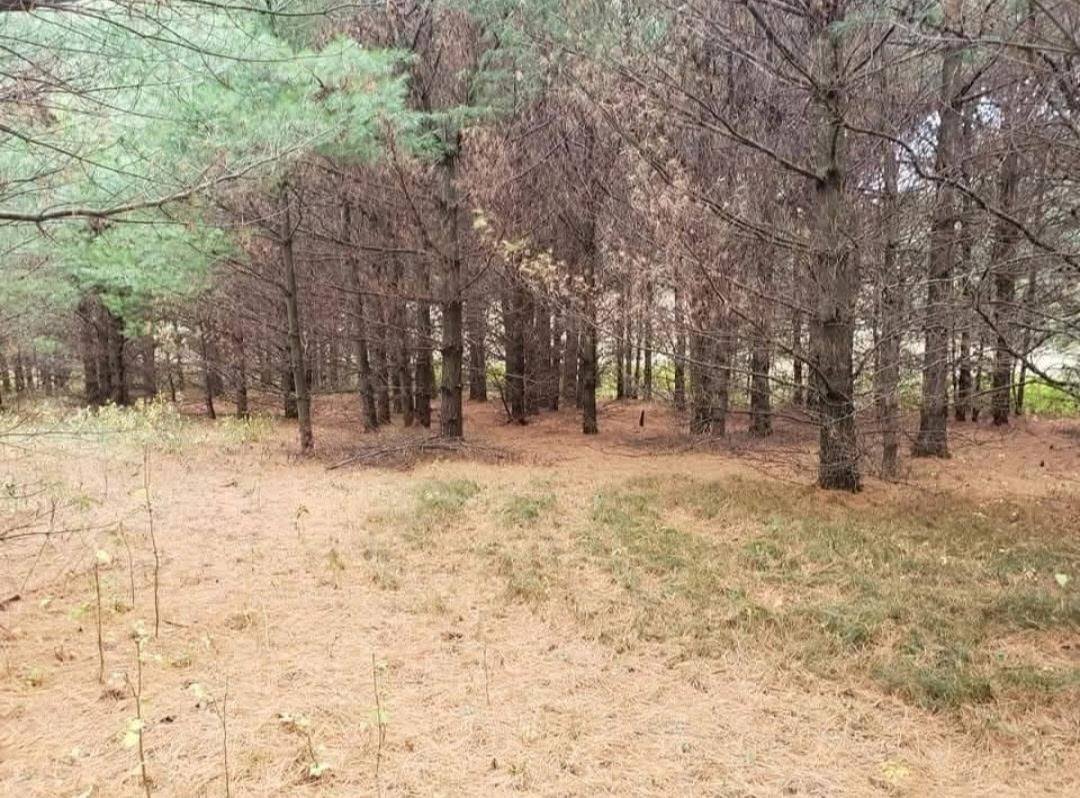 3660 Bentley Road, Custer, WI 54423