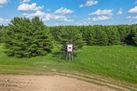 3660 Bentley Road, Custer, WI 54423